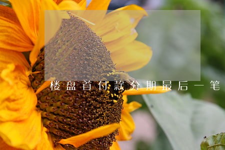 楼盘首付款分期最后一笔逾期 楼盘首付款分期最后一笔逾期