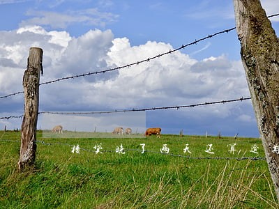 楼贷晚了两天还算逾期吗 楼贷晚了两天还算逾期吗