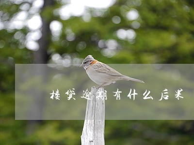 楼贷逾期有什么后果 楼贷逾期有什么后果