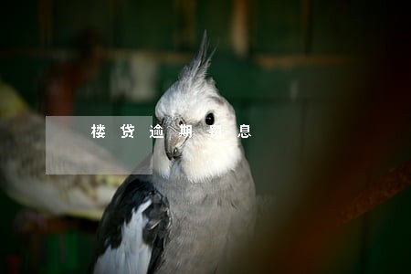 楼贷逾期罚息 楼贷逾期罚息