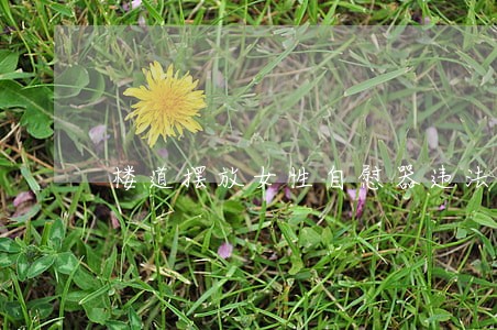 楼道摆放女性自慰器违法吗 楼道摆放女性自慰器违法吗