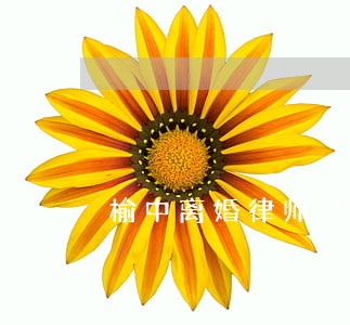 榆中离婚律师咨询 榆中离婚律师咨询