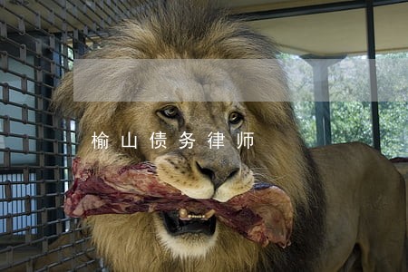 榆山债务律师 榆山债务律师