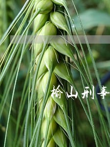 榆山刑事案件律师收费 榆山刑事案件律师收费