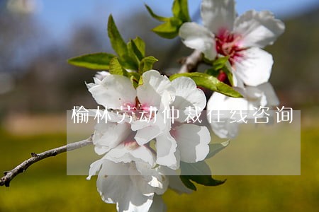 榆林劳动仲裁在线咨询 榆林劳动仲裁在线咨询