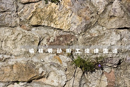 榆林劳动用工法律咨询 榆林劳动用工法律咨询
