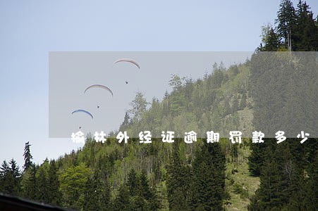 榆林外经证逾期罚款多少 榆林外经证逾期罚款多少