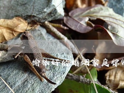 榆林好的婚姻家庭律师 榆林好的婚姻家庭律师