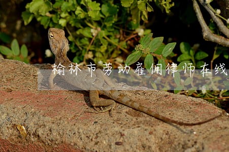榆林市劳动雇佣律师在线解答 榆林市劳动雇佣律师在线解答