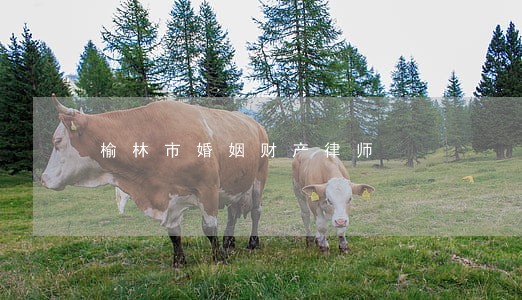 榆林市婚姻财产律师 榆林市婚姻财产律师