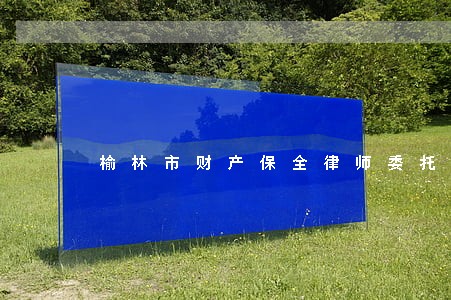 榆林市财产保全律师委托流程