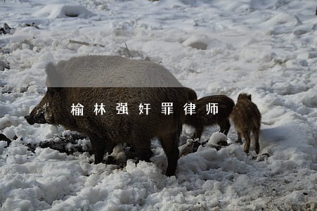 榆林强奸罪律师 榆林强奸罪律师