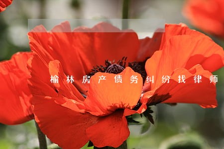 榆林房产债务纠纷找律师