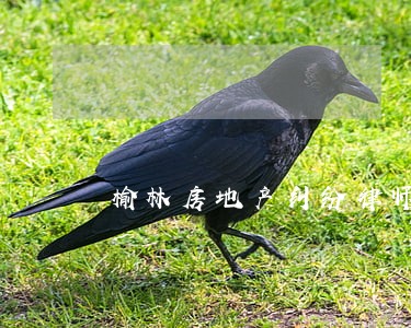 榆林房地产纠纷律师推荐 榆林房地产纠纷律师推荐