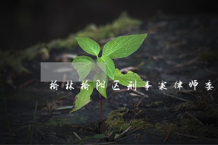 榆林榆阳区刑事案律师委托步骤 榆林榆阳区刑事案律师委托步骤