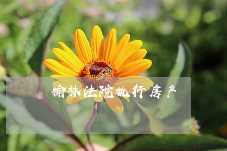 榆林法院执行房产 榆林法院执行房产