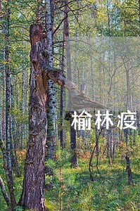 榆林疫情期间公积金逾期 榆林疫情期间公积金逾期