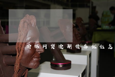 榆林网贷逾期债务优化怎么收费 榆林网贷逾期债务优化怎么收费