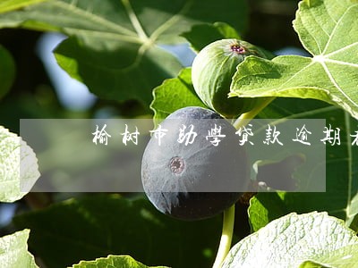 榆树市助学贷款逾期者名单 榆树市助学贷款逾期者名单