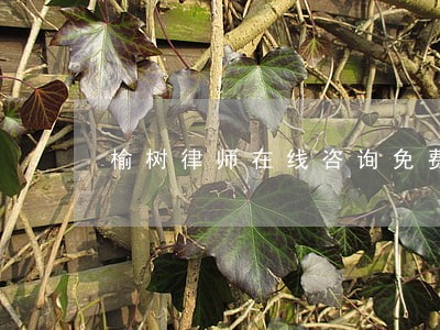 榆树律师在线咨询免费 榆树律师在线咨询免费