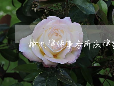榆次律师事务所法律咨询 榆次律师事务所法律咨询