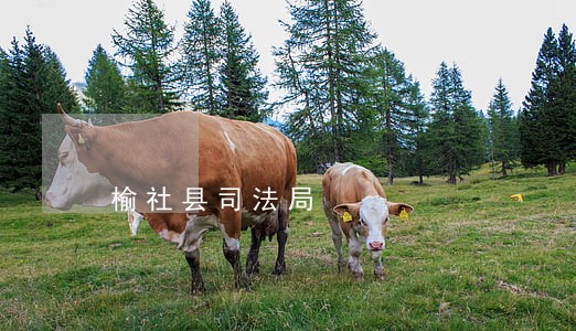 榆社县司法局 榆社县司法局