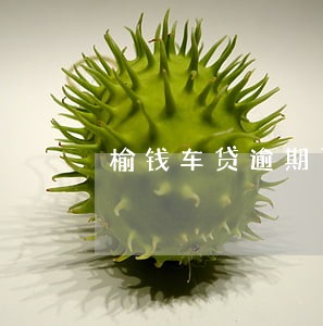 榆钱车贷逾期了怎么办 榆钱车贷逾期了怎么办