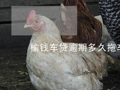 榆钱车贷逾期多久拖车 榆钱车贷逾期多久拖车