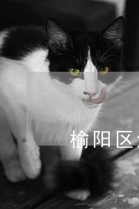 榆阳区法院资产网 榆阳区法院资产网