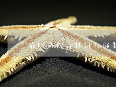 榆阳法院异地执行强制腾房 榆阳法院异地执行强制腾房