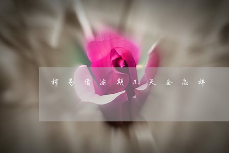 榕易借逾期几天会怎样 榕易借逾期几天会怎样
