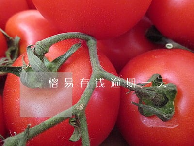 榕易有钱逾期一天 榕易有钱逾期一天