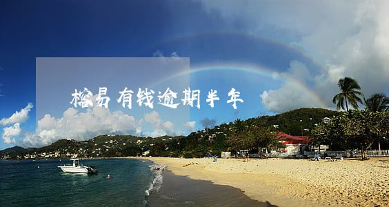 榕易有钱逾期半年 榕易有钱逾期半年