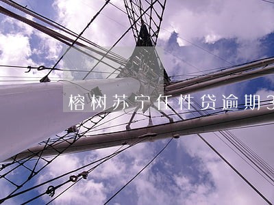 榕树苏宁任性贷逾期30天 榕树苏宁任性贷逾期30天