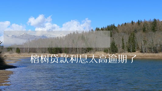 榕树贷款利息太高逾期了 榕树贷款利息太高逾期了