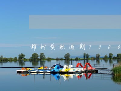 榕树贷款逾期7000 榕树贷款逾期7000