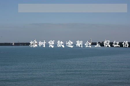 榕树贷款逾期会上报征信吗