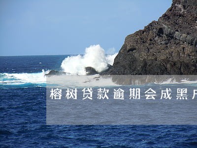 榕树贷款逾期会成黑户吗