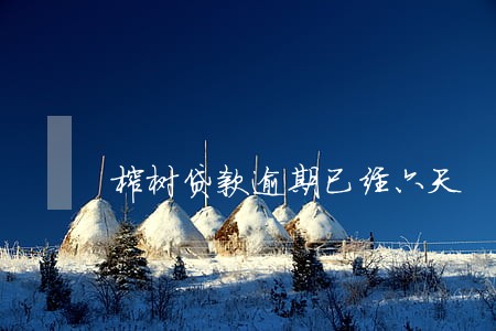 榕树贷款逾期已经六天 榕树贷款逾期已经六天