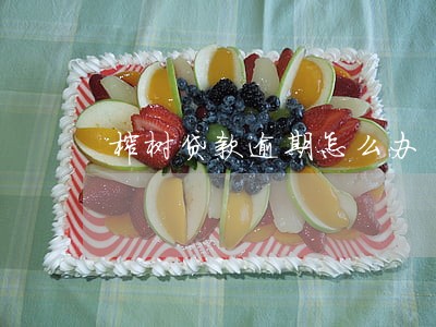 榕树贷款逾期怎么办 榕树贷款逾期怎么办