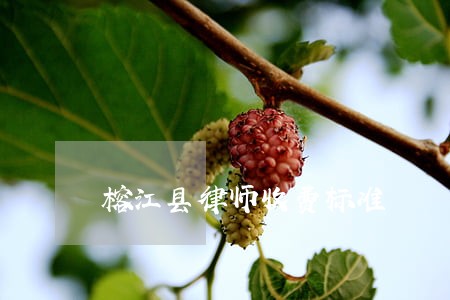 榕江县律师收费标准 榕江县律师收费标准