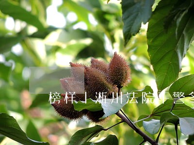 榜样丨淅川法院干警冬夜跳水救人 榜样丨淅川法院干警冬夜跳水救人