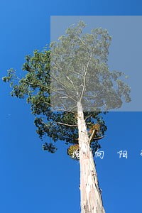槐向阳律师 槐向阳律师
