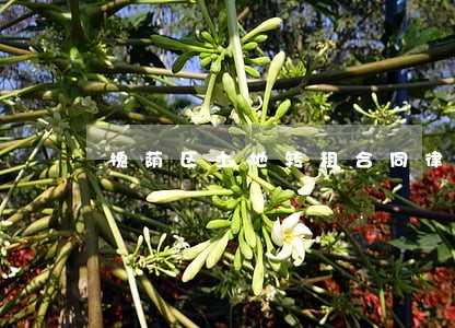 槐荫区土地转租合同律师委托流程 槐荫区土地转租合同律师委托流程