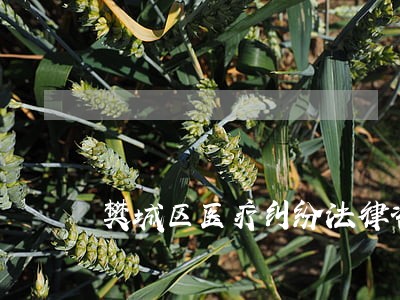 樊城区医疗纠纷法律咨询