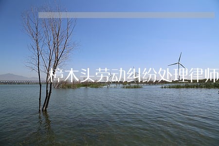 樟木头劳动纠纷处理律师公司电话