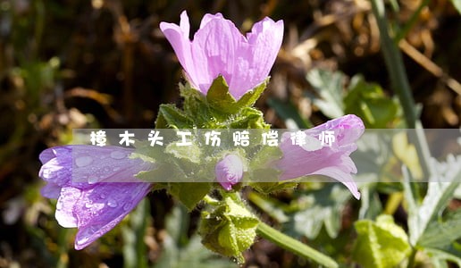 樟木头工伤赔偿律师 樟木头工伤赔偿律师