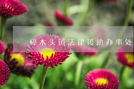 樟木头镇法律援助办事处 樟木头镇法律援助办事处
