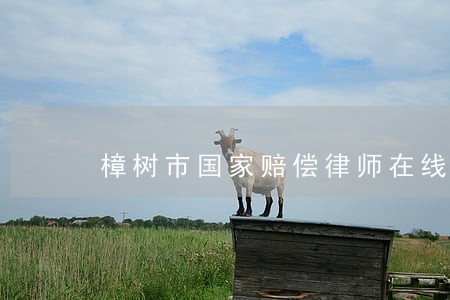 樟树市国家赔偿律师在线免费咨询