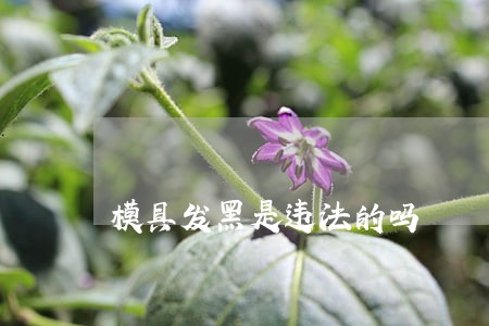 模具发黑是违法的吗 模具发黑是违法的吗